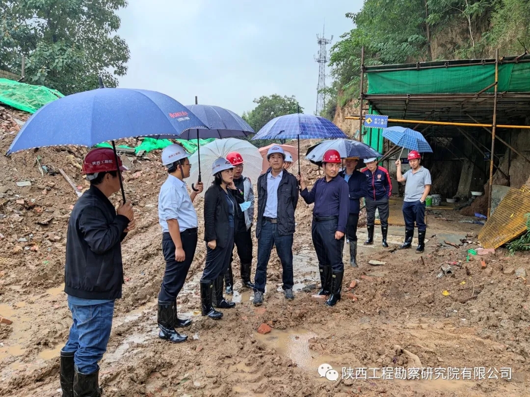 619713478f0cd.jpg 640.webp (3).jpg